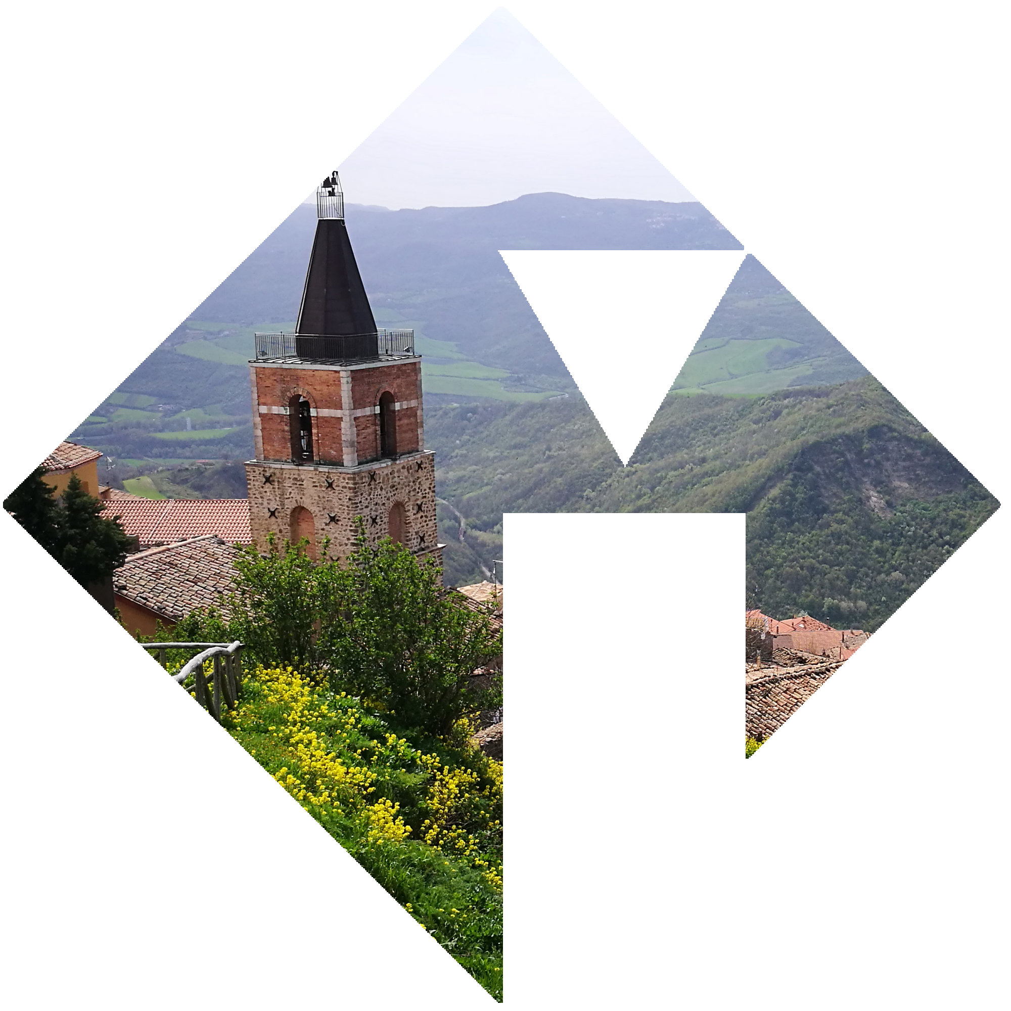 { content.name }}